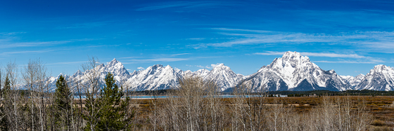 Willow Flats in Grand Teton National Park