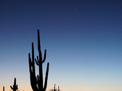 Tonto National Forest 