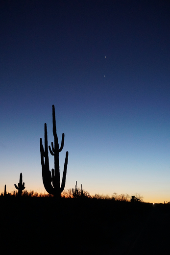 Tonto National Forest 