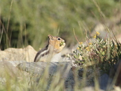 Crater Lake National Park
