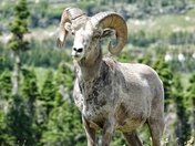 Glacier National Park