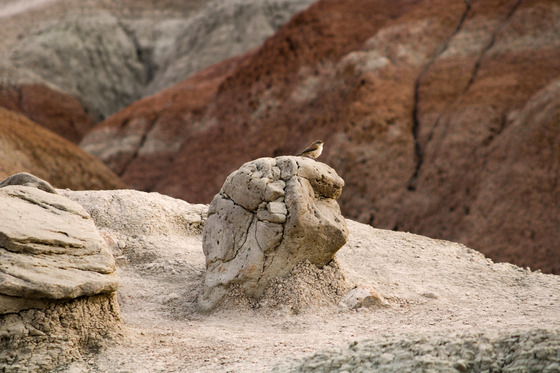 Badlands National Park