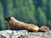 Grand Teton National Park