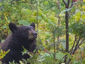 Grand Teton National Park