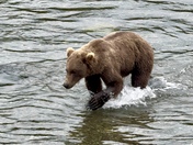 Katmai National Park