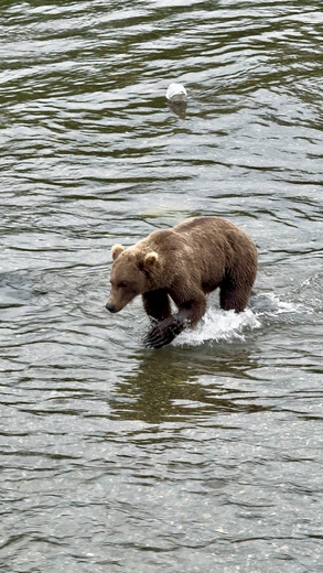 Katmai National Park