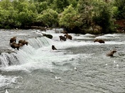 Katmai National Park