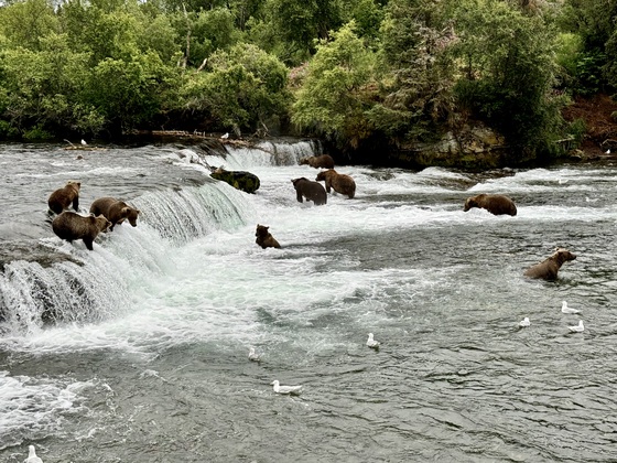 Katmai National Park
