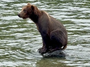Katmai National Park