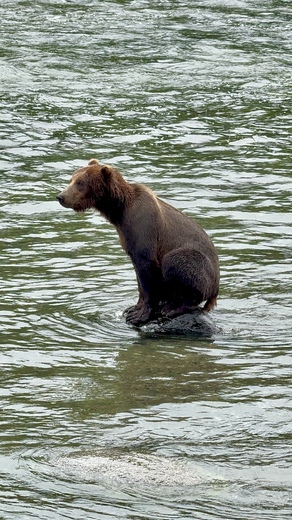 Katmai National Park