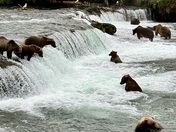 Katmai National Park