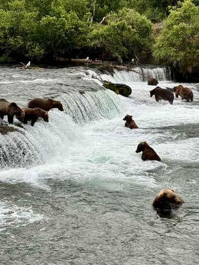 Katmai National Park