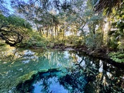 Ocala National Forest 