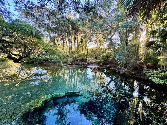 Ocala National Forest 