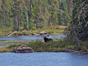 Boundary Waters Canoe Area Wilderness