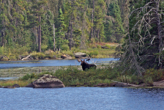 Boundary Waters Canoe Area Wilderness