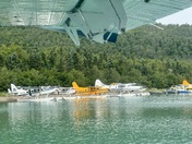 Katmai National Park