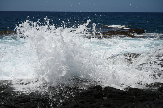 Pu'uhonua O Honaunau National Historical Park