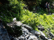 North Cascades National Park