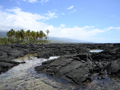 Pu'uhonua O Honaunau National Historical Park