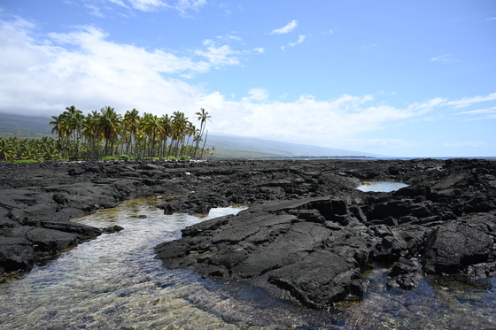 Pu'uhonua O Honaunau National Historical Park