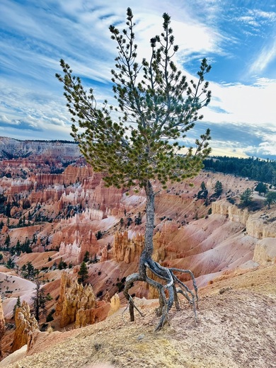 Bryce Canyon National Park