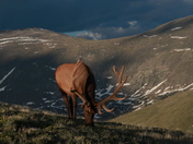 Rocky Mountain National Park