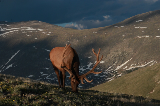 Rocky Mountain National Park