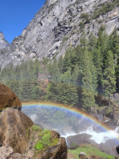 Inyo National Forest