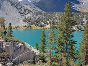 Inyo National Forest