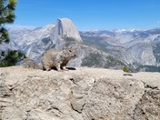 Yosemite National Park
