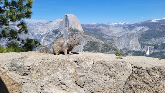 Yosemite National Park