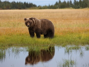 Lake Clark National Park