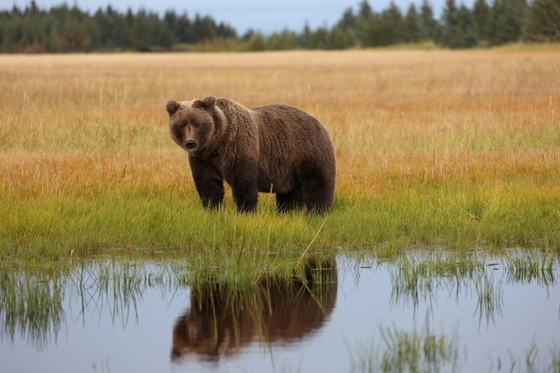 Lake Clark National Park