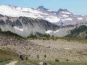 Mt Rainier National Park