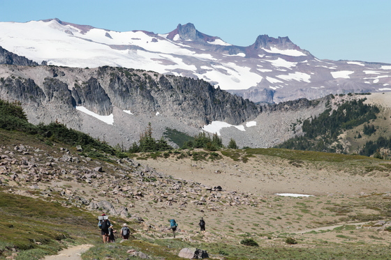 Mt Rainier National Park