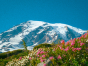 Mount Rainier National Park