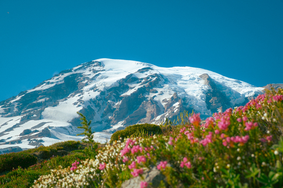 Mount Rainier National Park