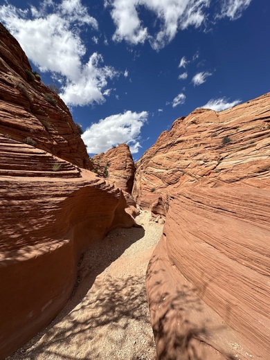 Wire Pass Trail, Utah