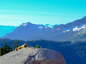 Mount Rainier National Park