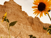 Badlands National Park