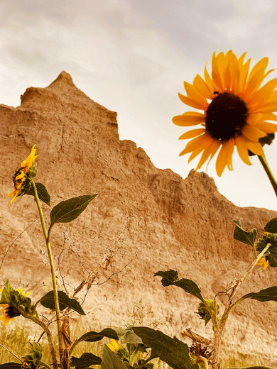 Badlands National Park