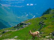 Glacier National Park