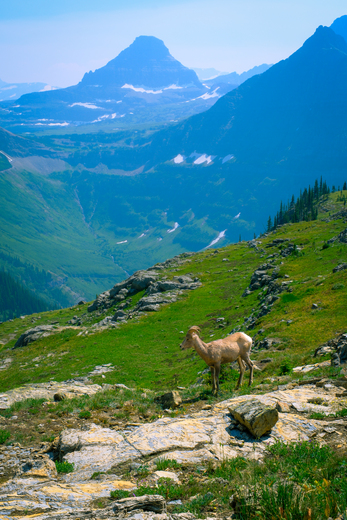 Glacier National Park