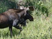 Rocky Mountain National Park