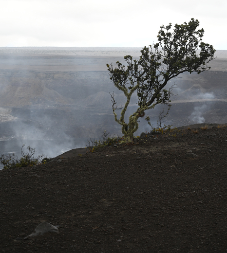 Hawai'i Volcanoes National Park