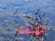Aitch Recreation Area on Lake Raystown PA