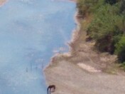 Big Bend National Park