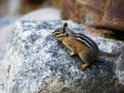 Grand Tetons National Park
