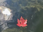 Aitch Boat Launch Raystown Lake